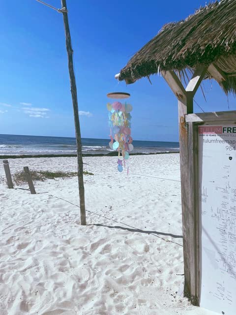 CRAFTCURL Capiz Shell Wind Chimes - Memorial Wind Chimes with Clear & Melodious Sound -Handmade Sturdy Wood Wind Chimes Provides Comfortable and Pleasant Ambiance State Every Day -(Blue)