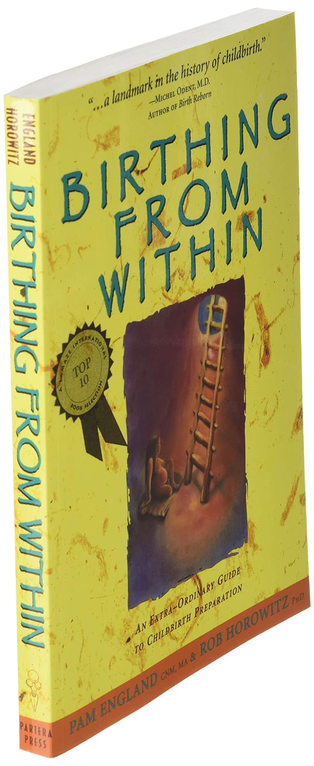 Birthing from Within: An Extra-Ordinary Guide to Childbirth Preparation
