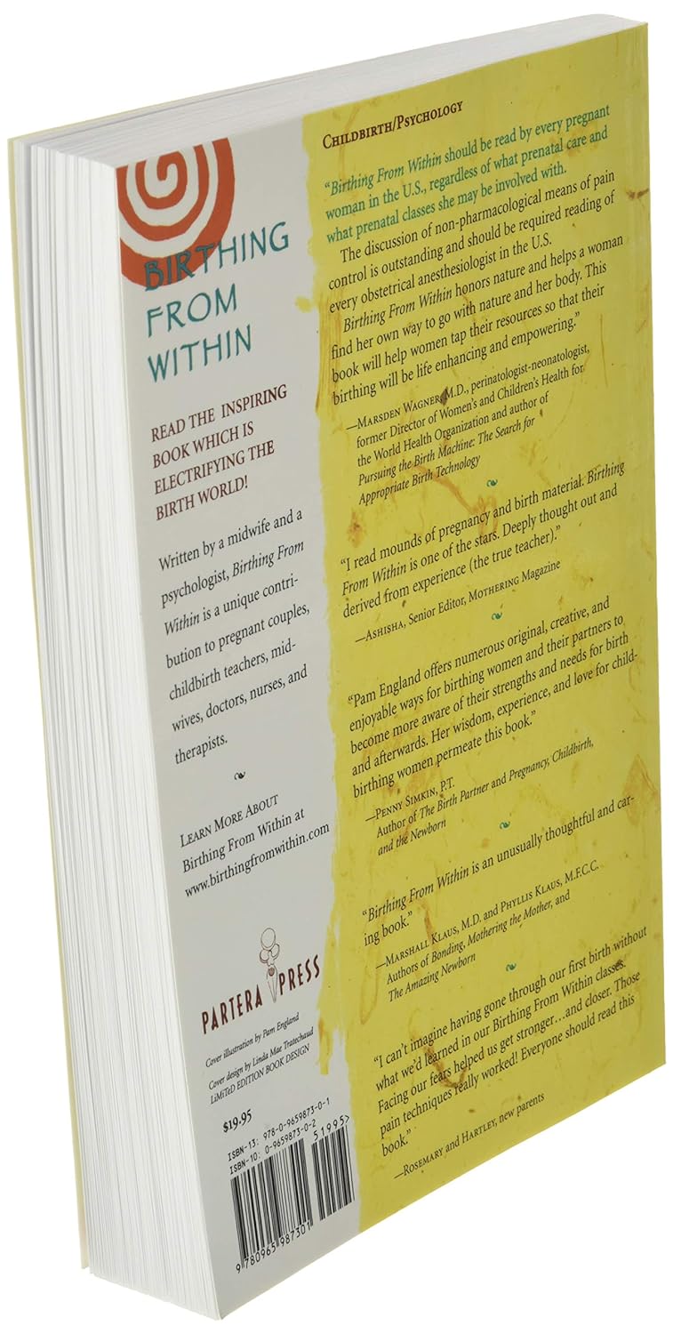 Birthing from Within: An Extra-Ordinary Guide to Childbirth Preparation